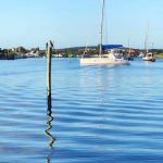 sailboat in River